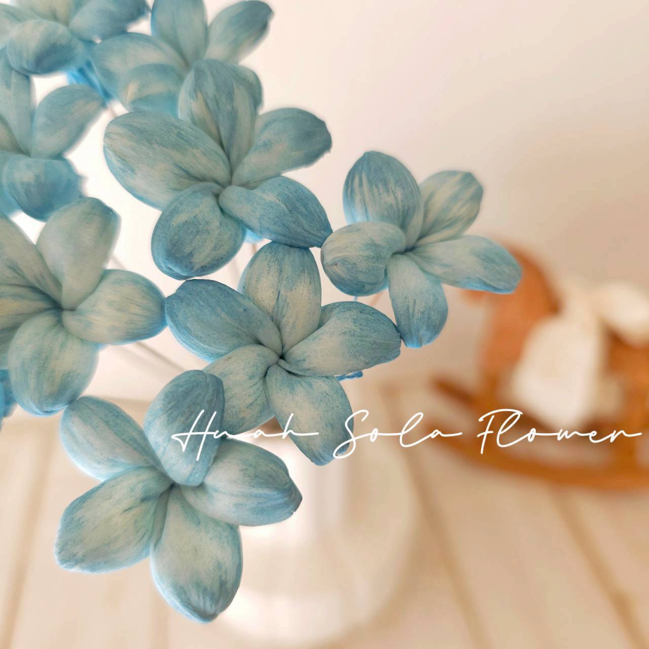 椛家水染  氣質可愛 星星小茉莉 3.5CM 晴藍澄空 索拉花 婚禮布置、花束或手作禮物