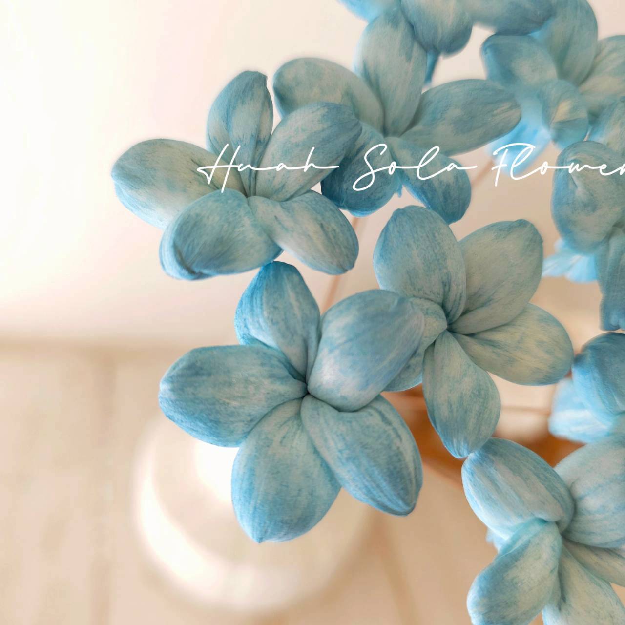 椛家水染  氣質可愛 星星小茉莉 3.5CM 晴藍澄空 索拉花 婚禮布置、花束或手作禮物