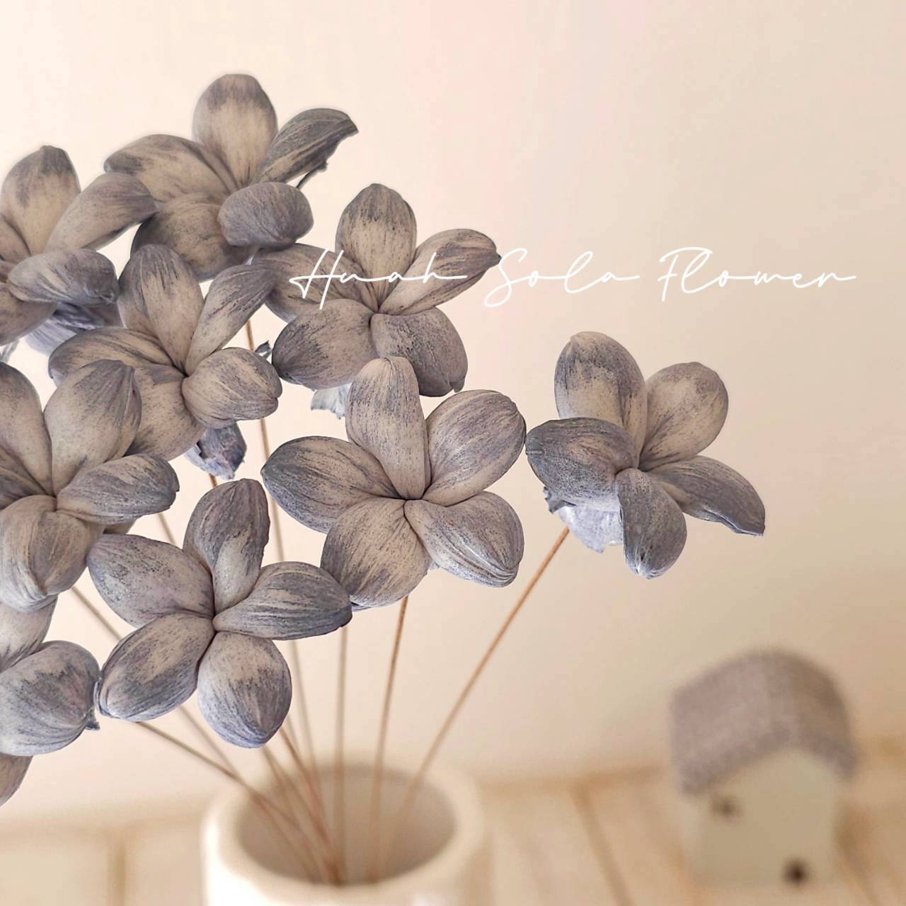 LINE_ALBUM_官網3_250918_25