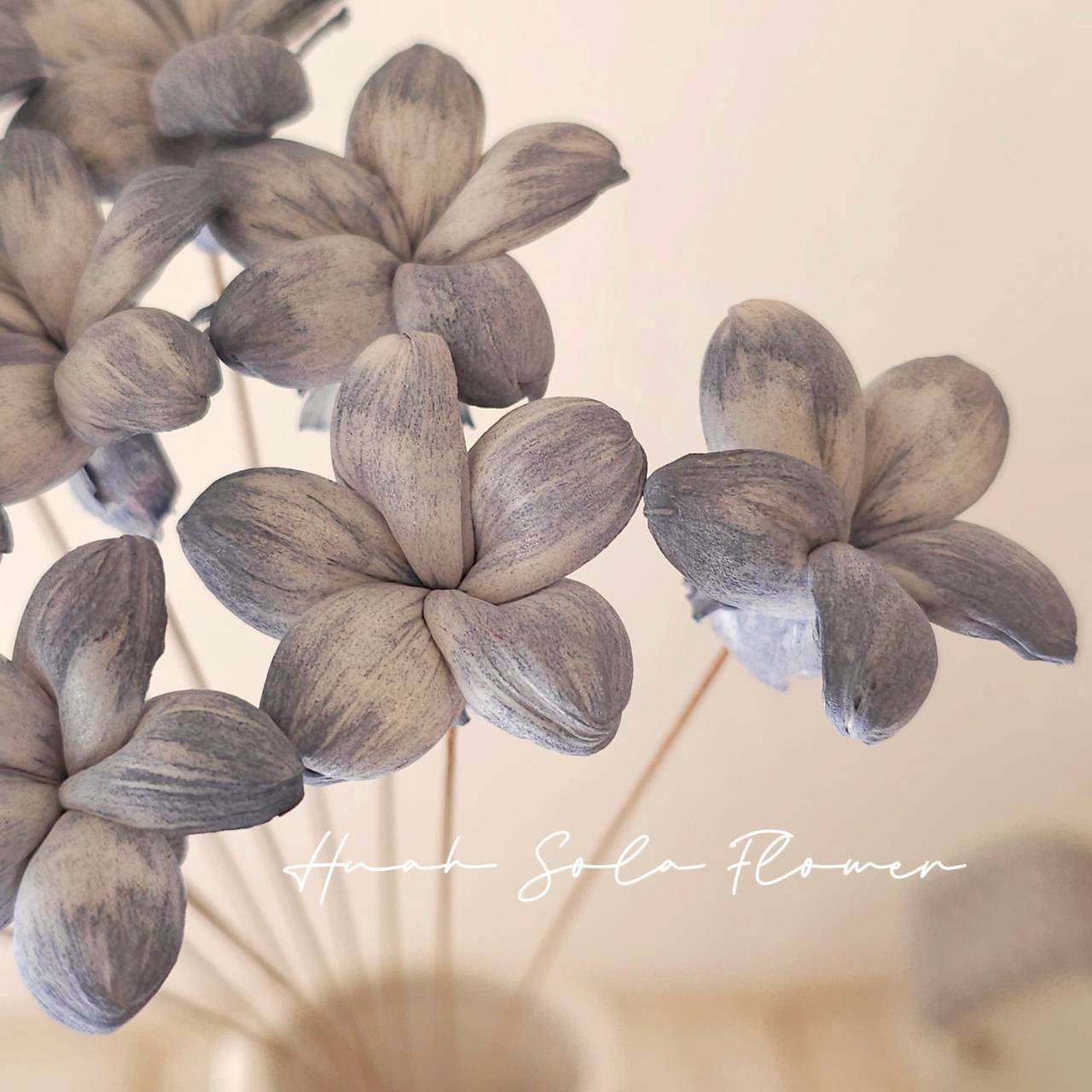 LINE_ALBUM_官網3_250918_23