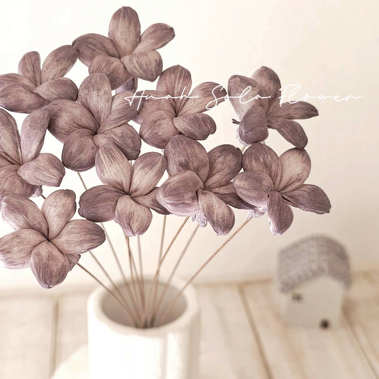 椛家水染 氣質可愛 星星小茉莉 3.5CM 夜暮紫宸 索拉花 花藝 DIY 材料 批發