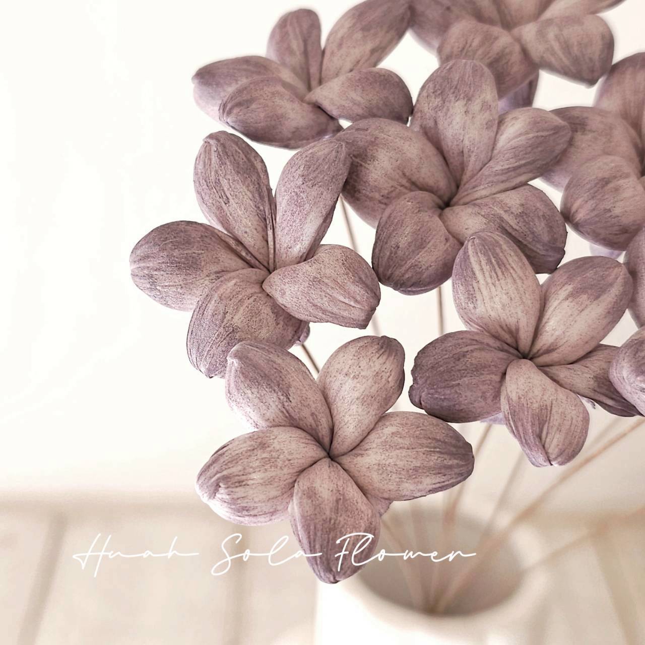 椛家水染 氣質可愛 星星小茉莉 3.5CM 夜暮紫宸 索拉花 花藝 DIY 材料 批發