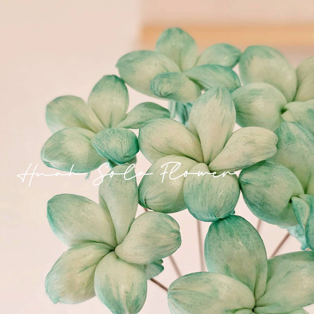 椛家水染 氣質可愛 星星小茉莉 3.5CM〔 森野朝露 〕索拉花 手工花禮