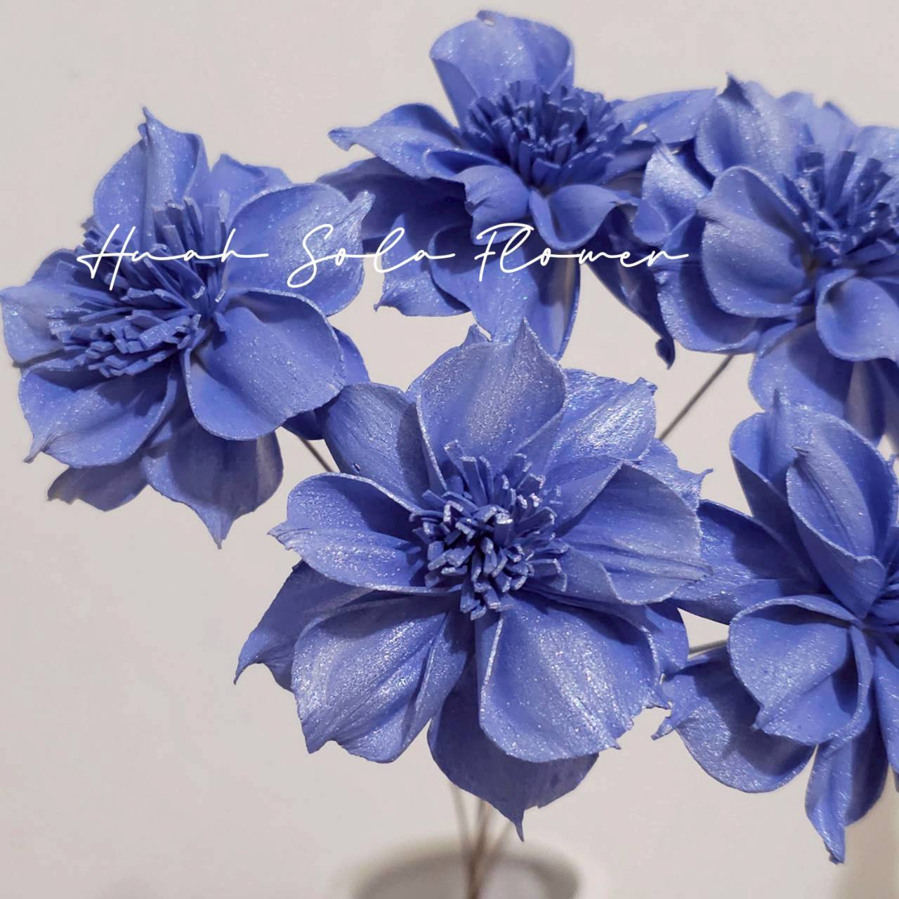 LINE_ALBUM_官網4_251008_12