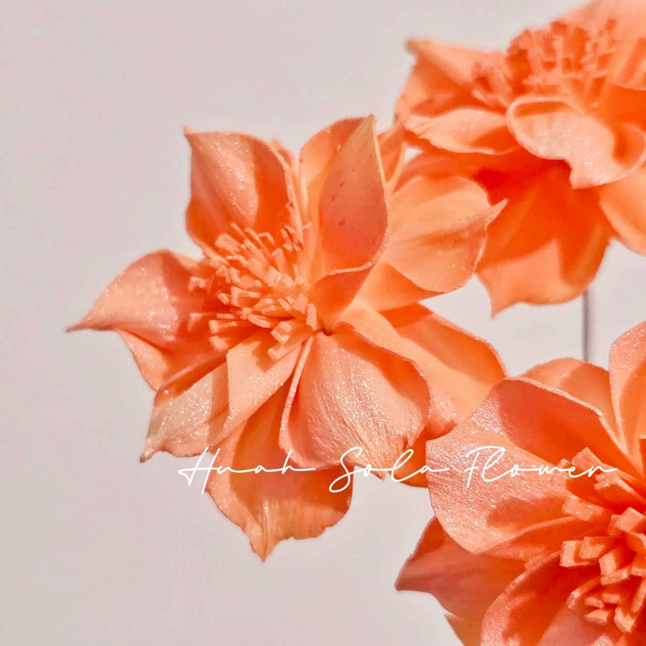 LINE_ALBUM_官網4_251008_15