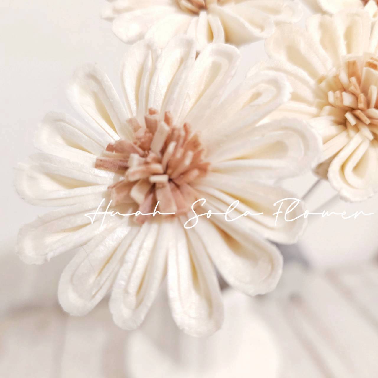 LINE_ALBUM_官網4_251008_17