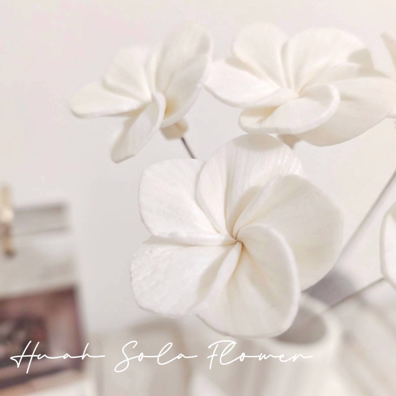 LINE_ALBUM_官網4_251008_20