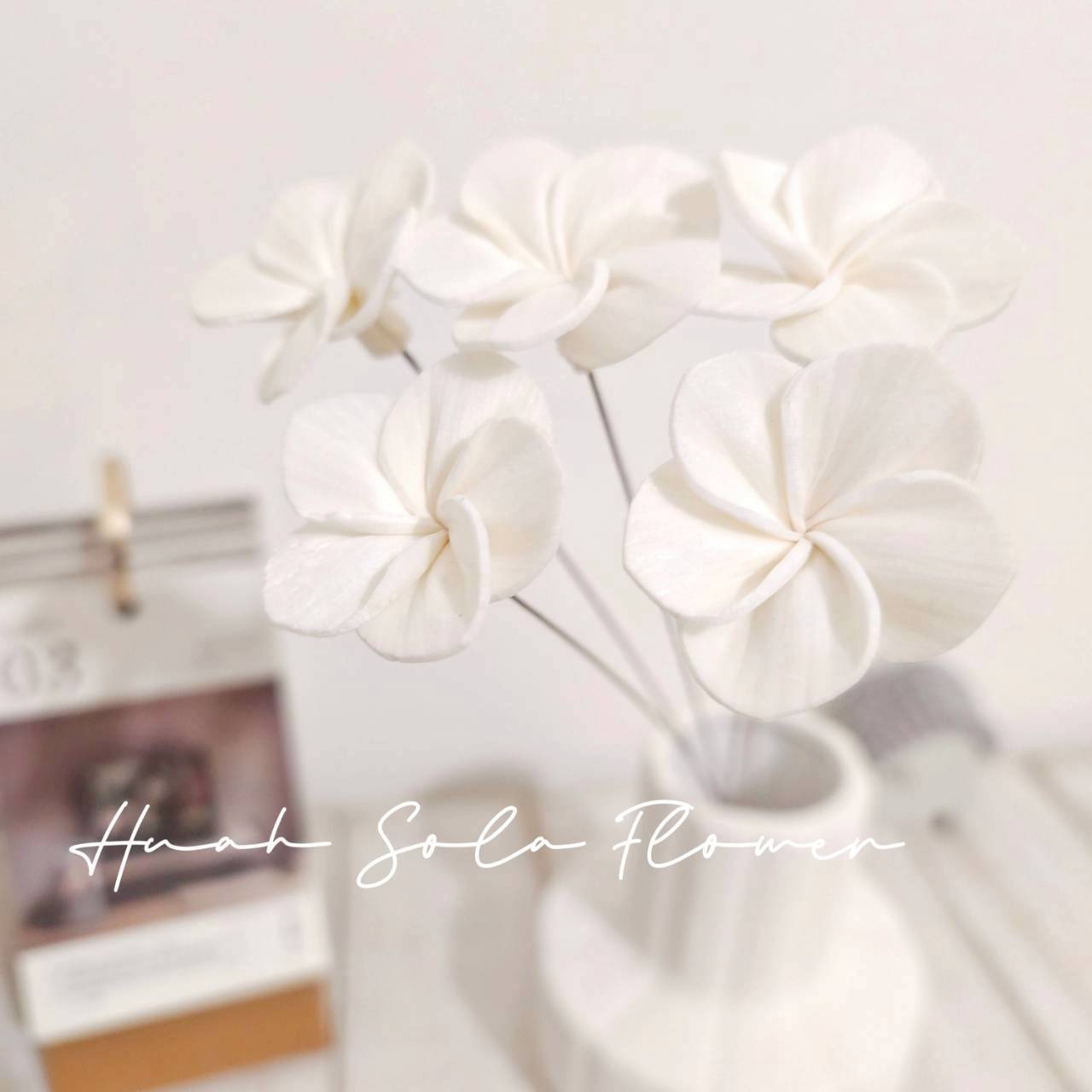 LINE_ALBUM_官網4_251008_21