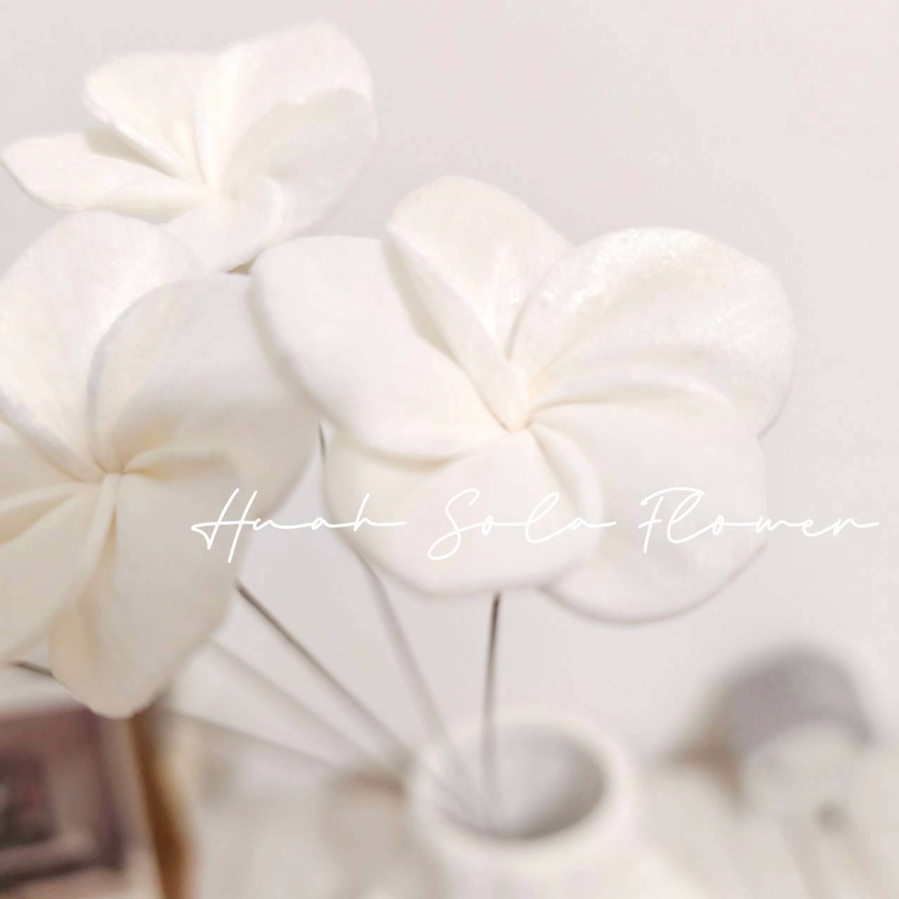 LINE_ALBUM_官網4_251008_19