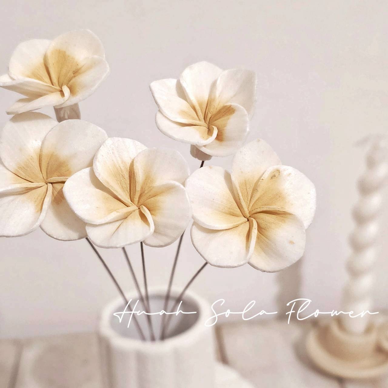 LINE_ALBUM_官網4_251008_35