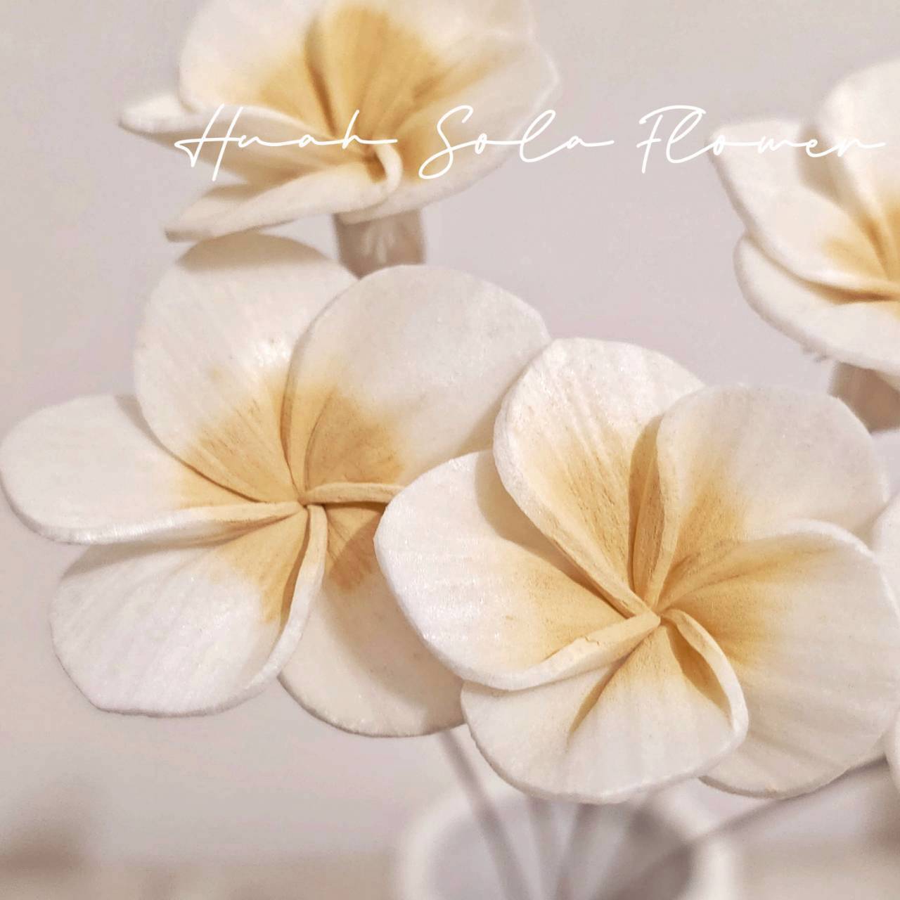 LINE_ALBUM_官網4_251008_34