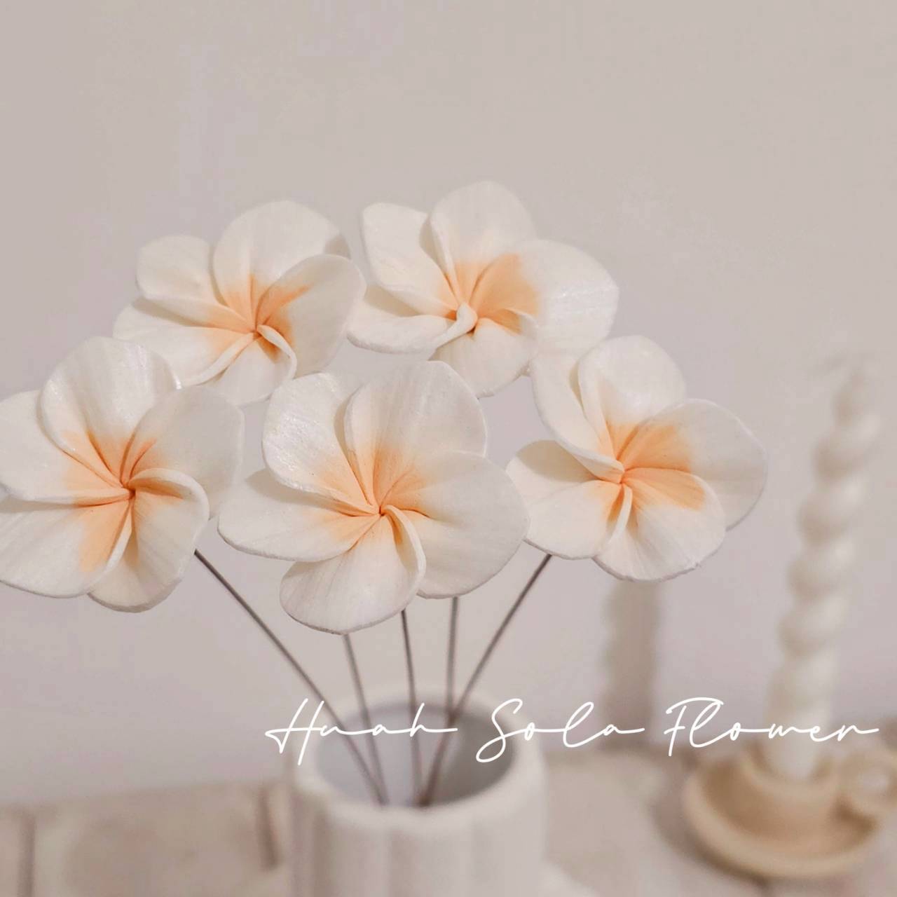 LINE_ALBUM_官網4_251008_37