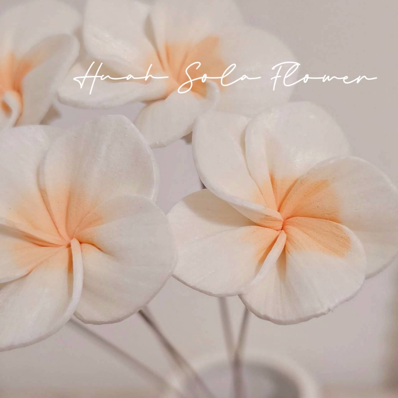 LINE_ALBUM_官網4_251008_36