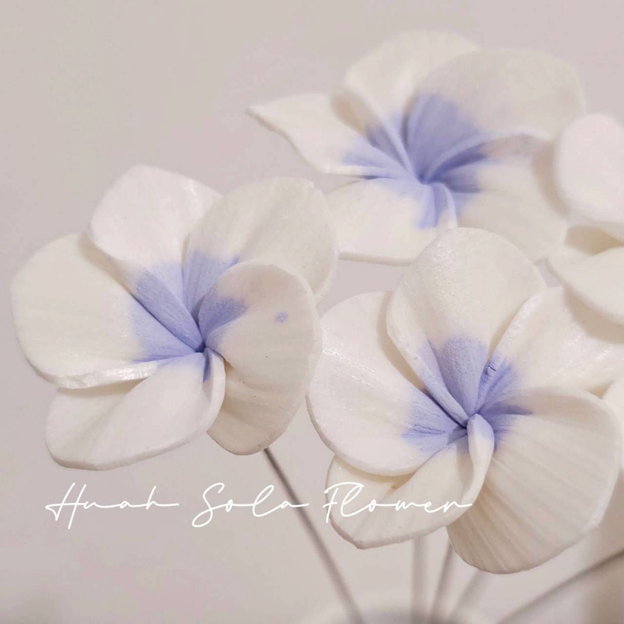 LINE_ALBUM_官網4_251008_39