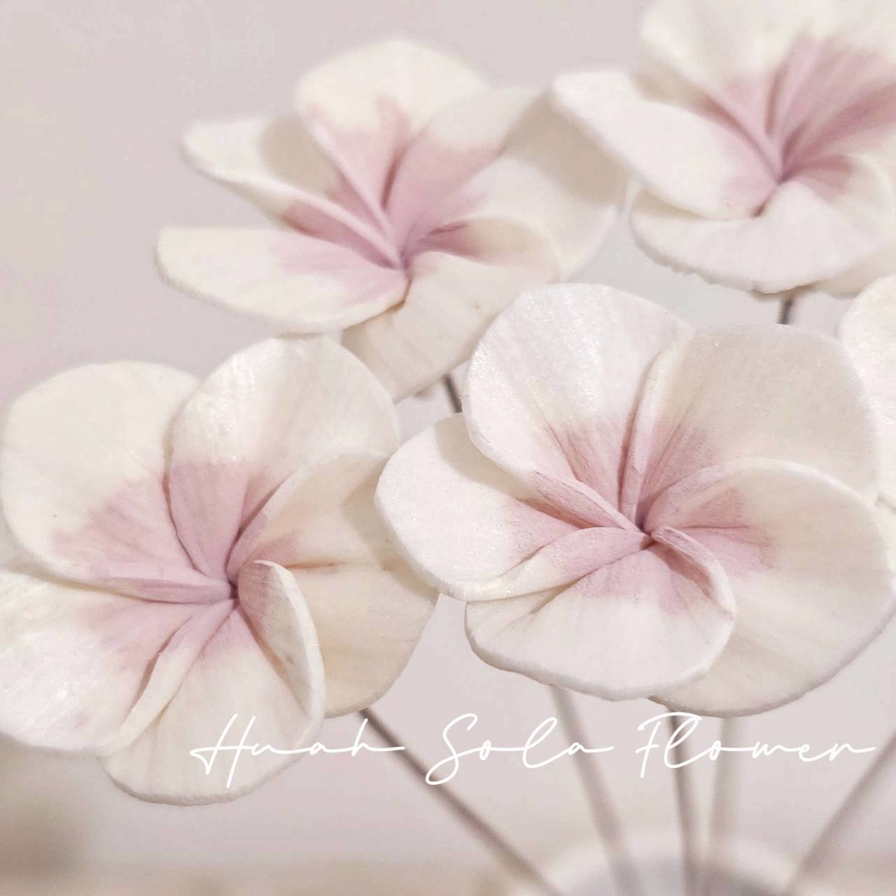 LINE_ALBUM_官網4_251008_40