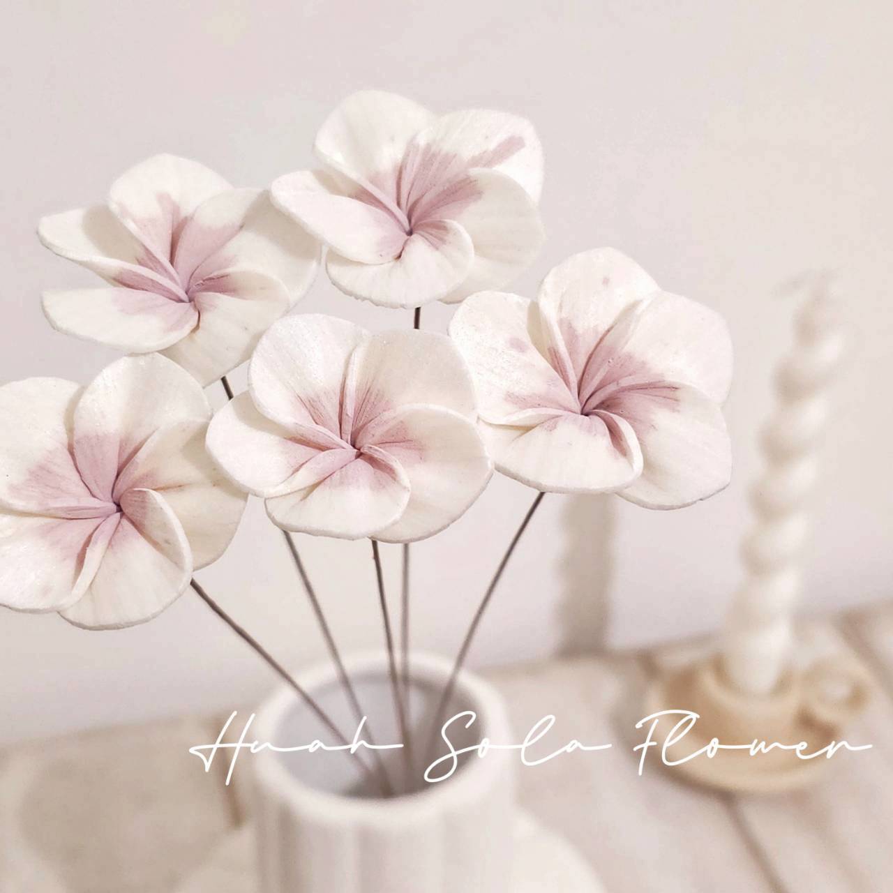 LINE_ALBUM_官網4_251008_41