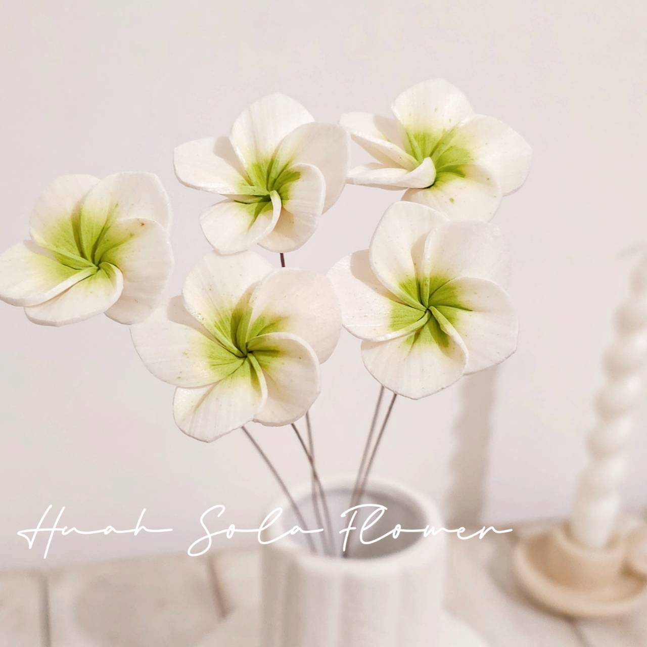 LINE_ALBUM_官網4_251008_43