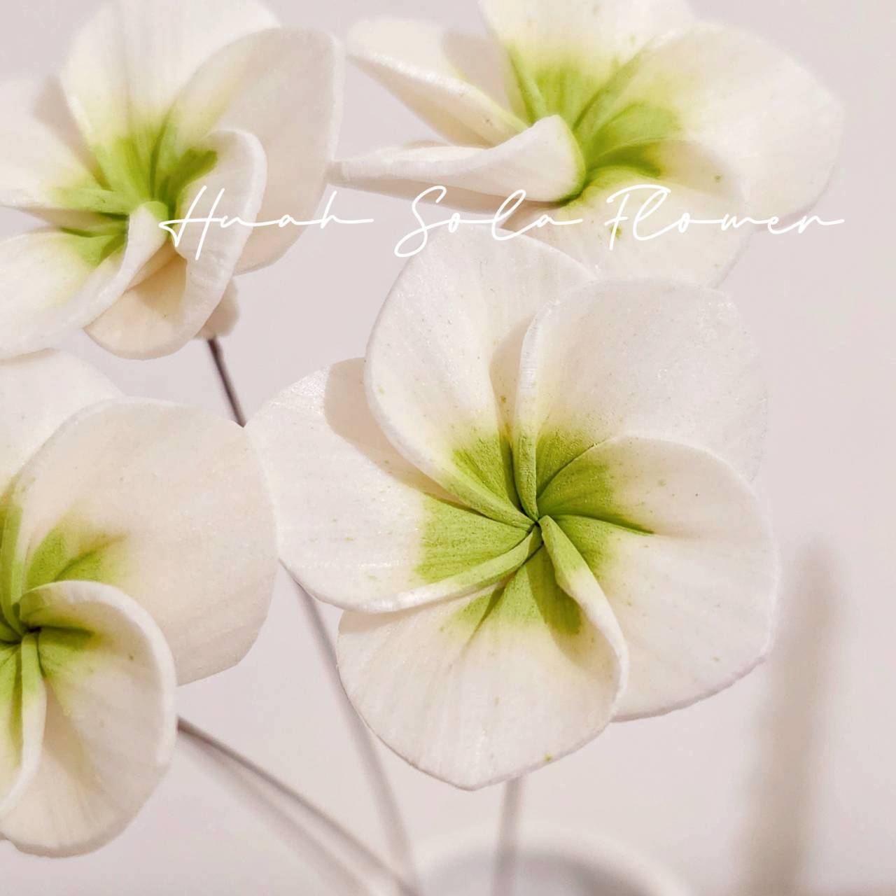 LINE_ALBUM_官網4_251008_42