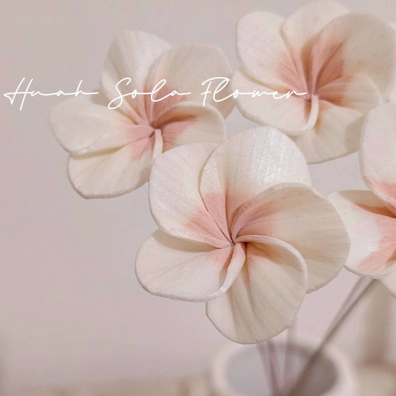 LINE_ALBUM_官網4_251008_44