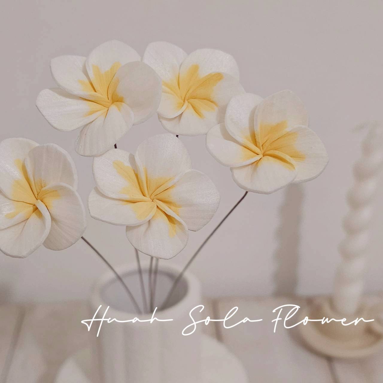 LINE_ALBUM_官網4_251008_51