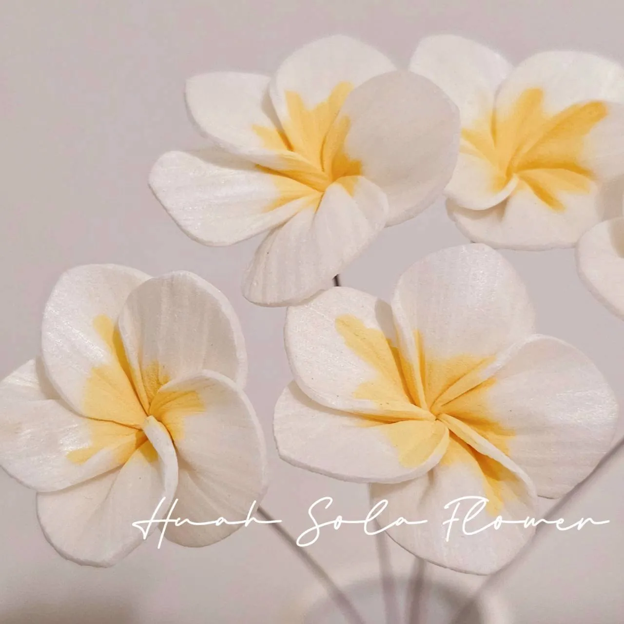 LINE_ALBUM_官網4_251008_50