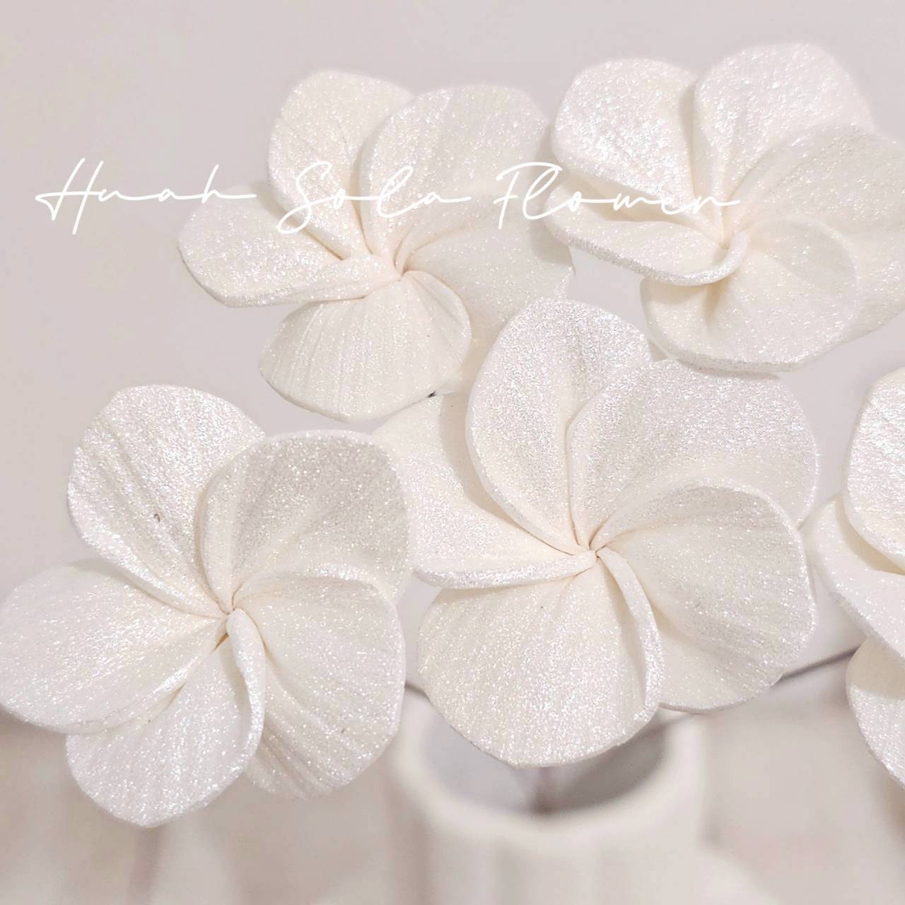 LINE_ALBUM_官網4_251008_52