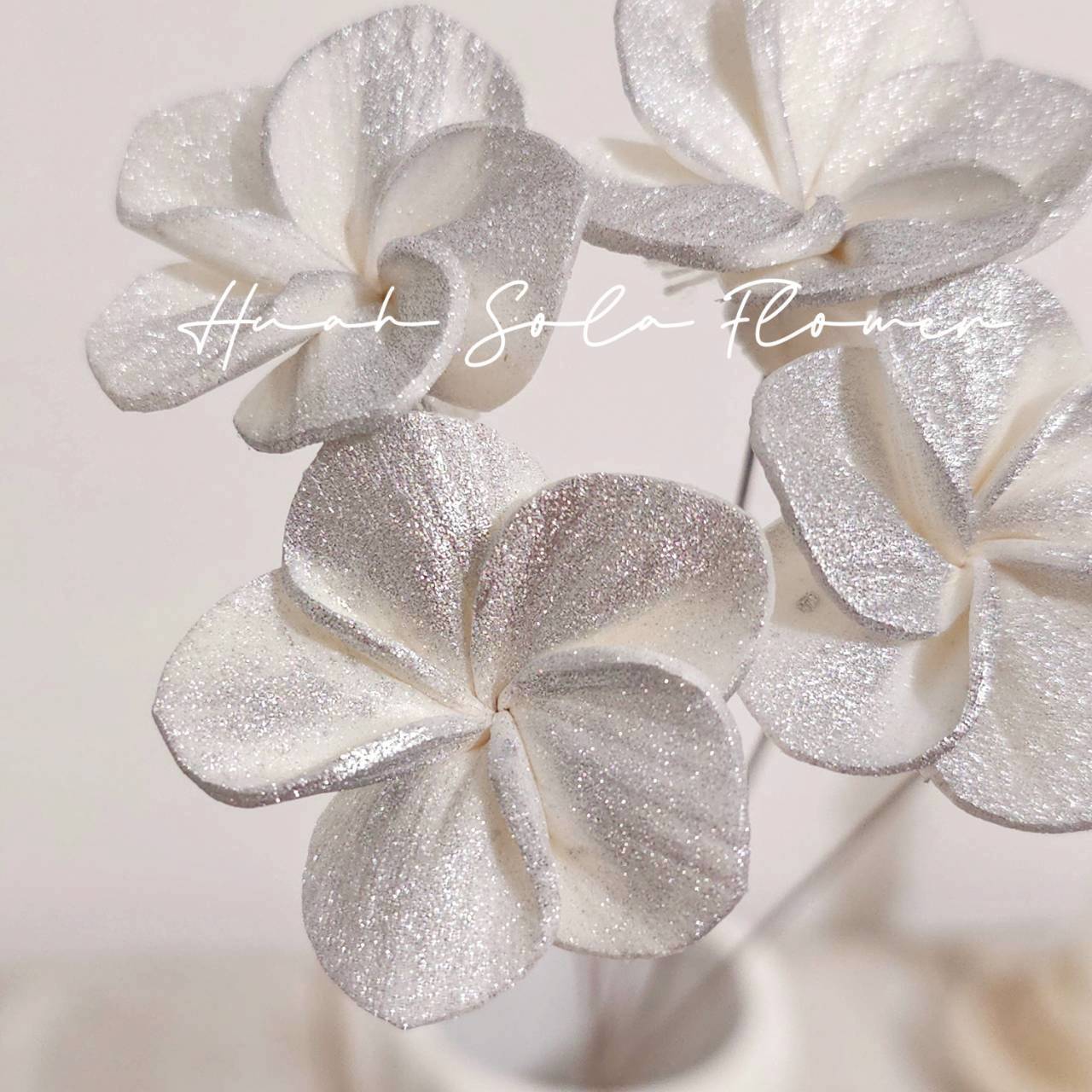 LINE_ALBUM_官網4_251008_49