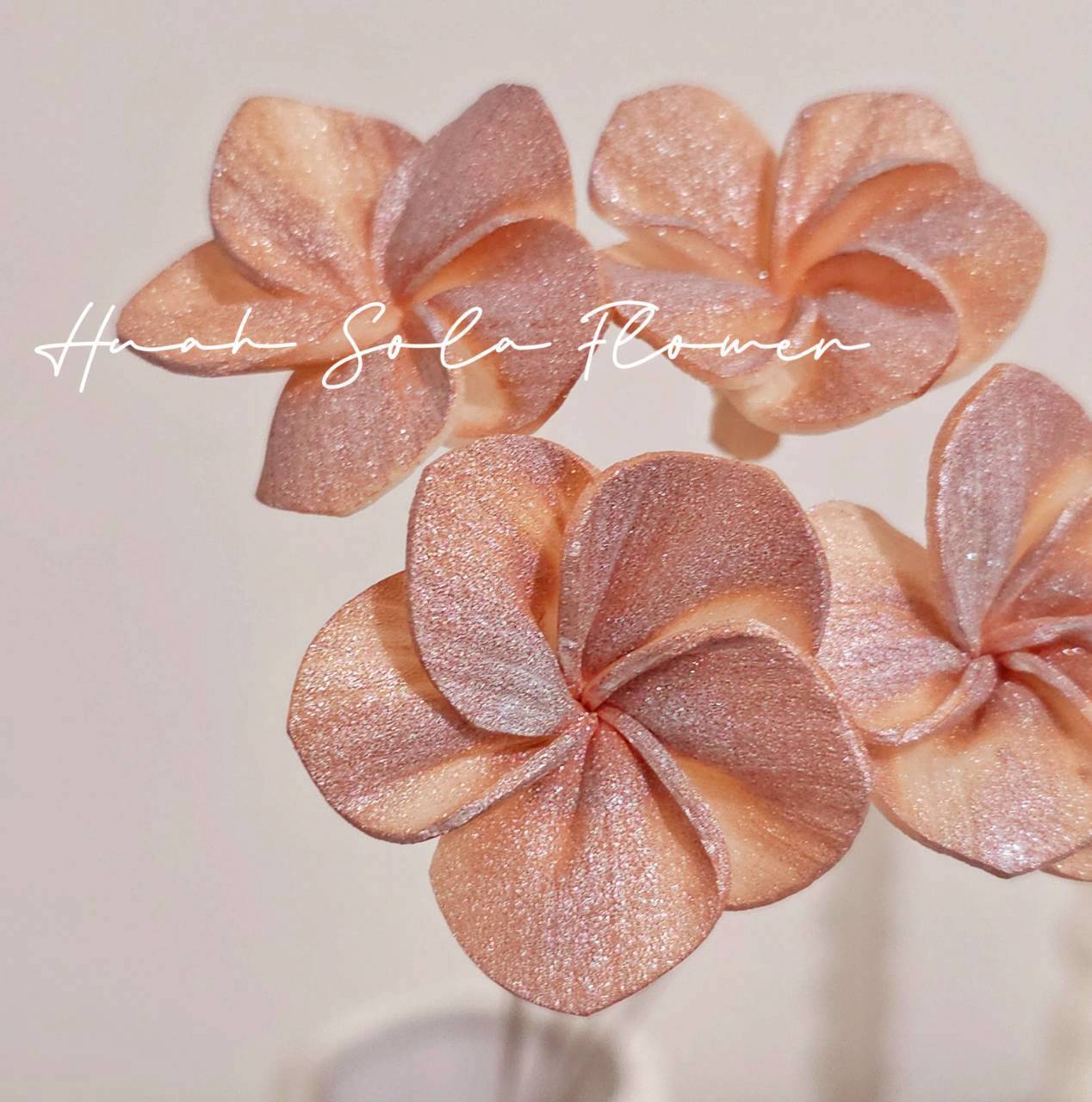 LINE_ALBUM_官網4_251008_47