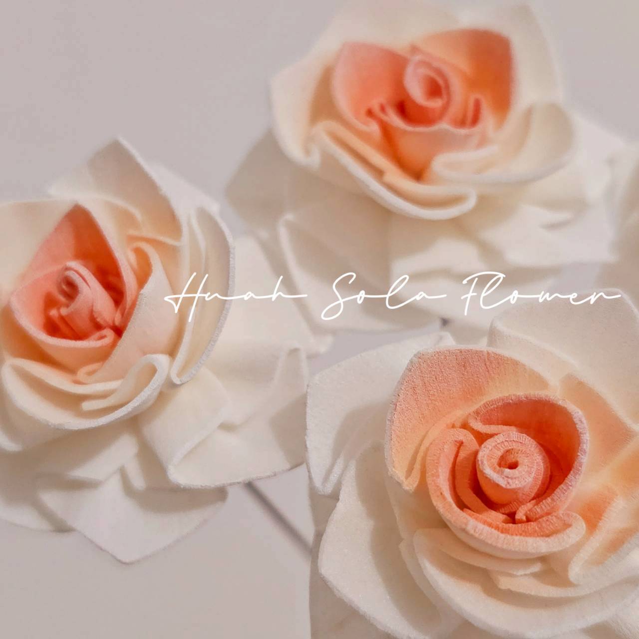 LINE_ALBUM_官網4_251008_67