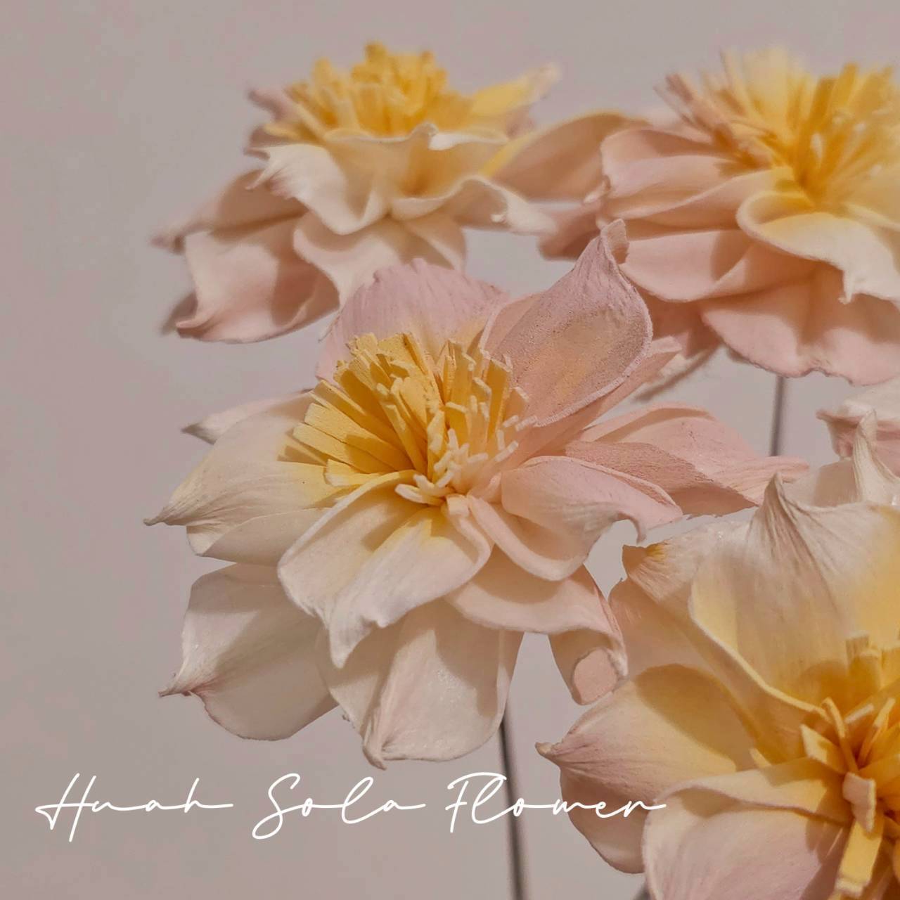 LINE_ALBUM_官網4_251008_92