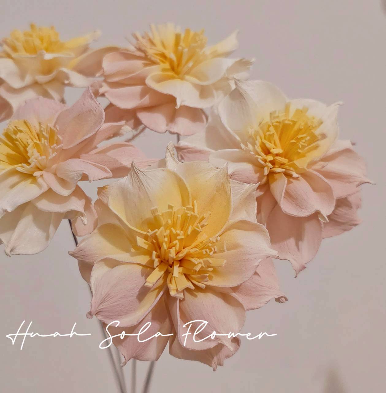 LINE_ALBUM_官網4_251008_93