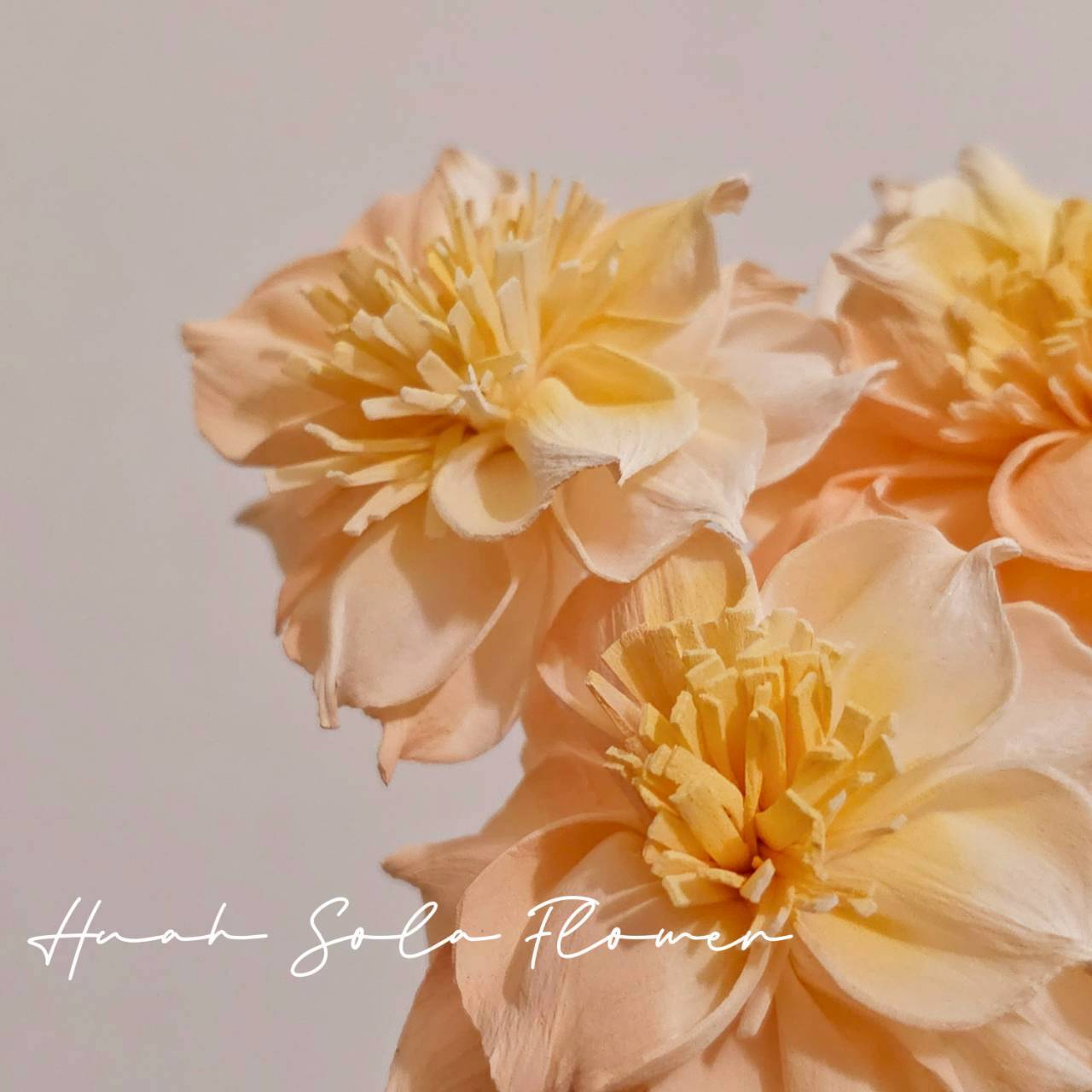 LINE_ALBUM_官網4_251008_90