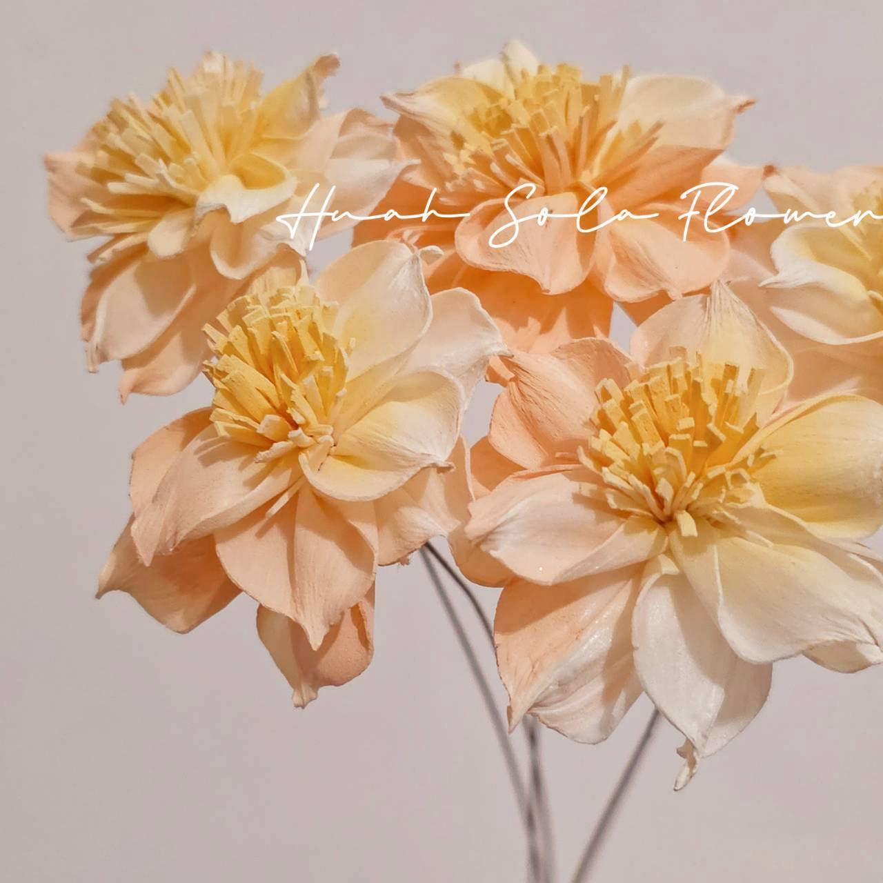 LINE_ALBUM_官網4_251008_87