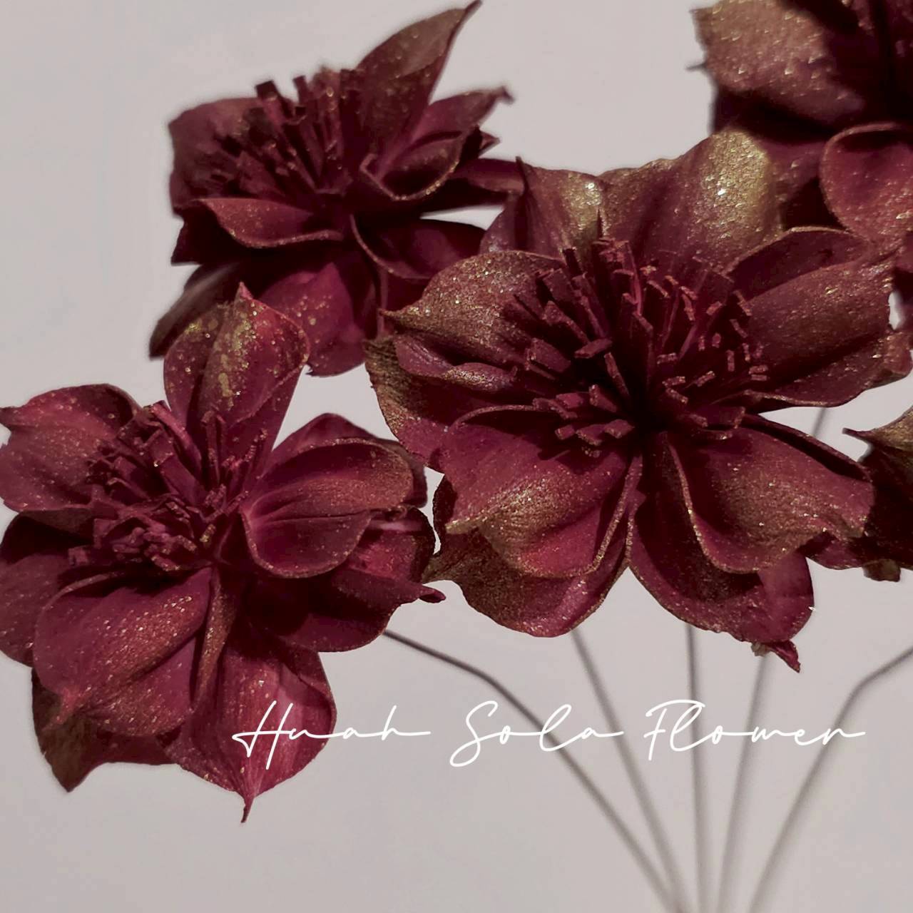 LINE_ALBUM_官網4_251008_95