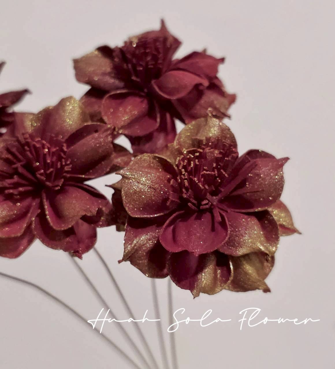 LINE_ALBUM_官網4_251008_97