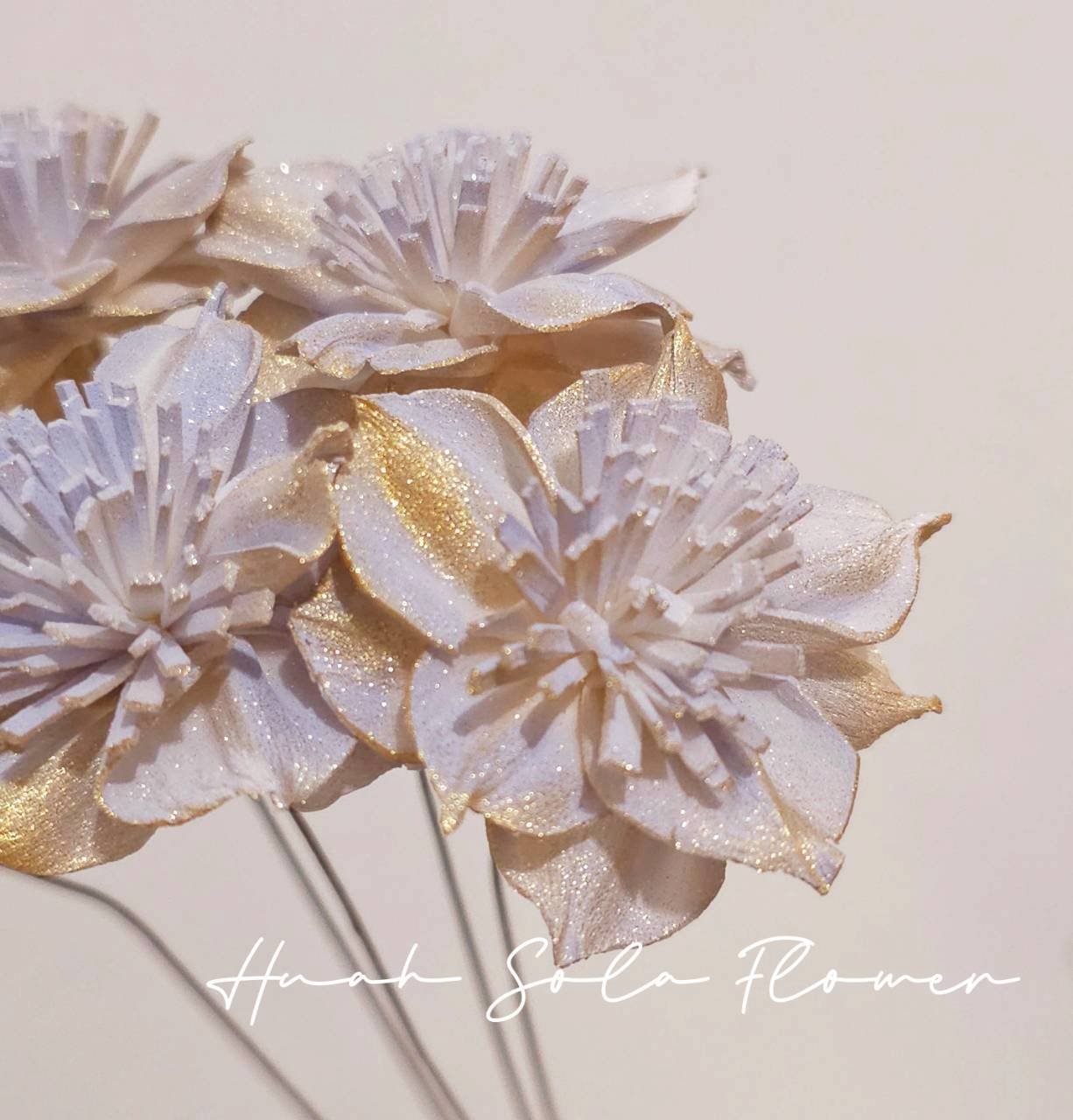 LINE_ALBUM_官網4_251008_103