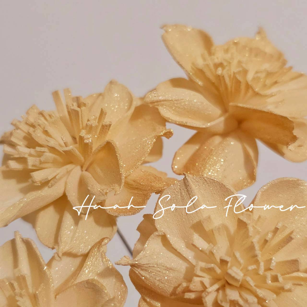 LINE_ALBUM_官網4_251008_105