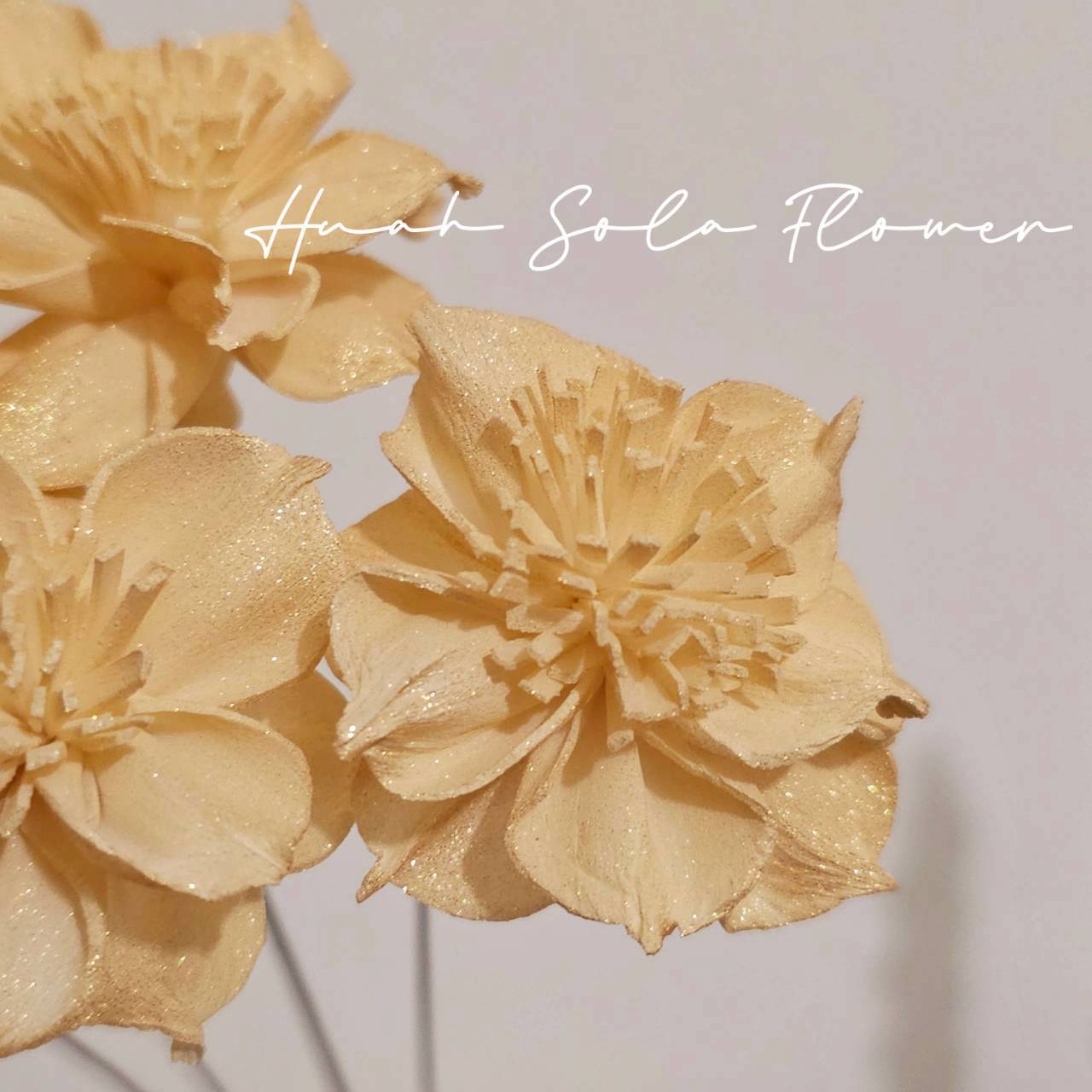 LINE_ALBUM_官網4_251008_106