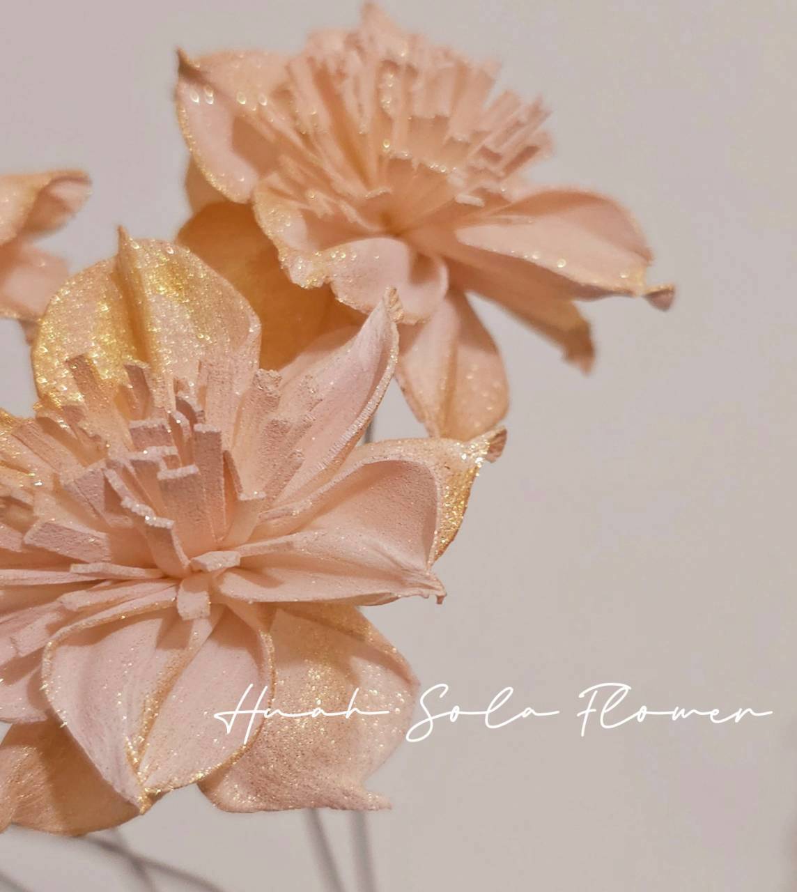 LINE_ALBUM_官網4_251008_109