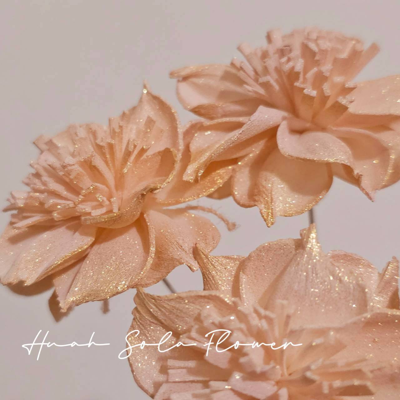 LINE_ALBUM_官網4_251008_108