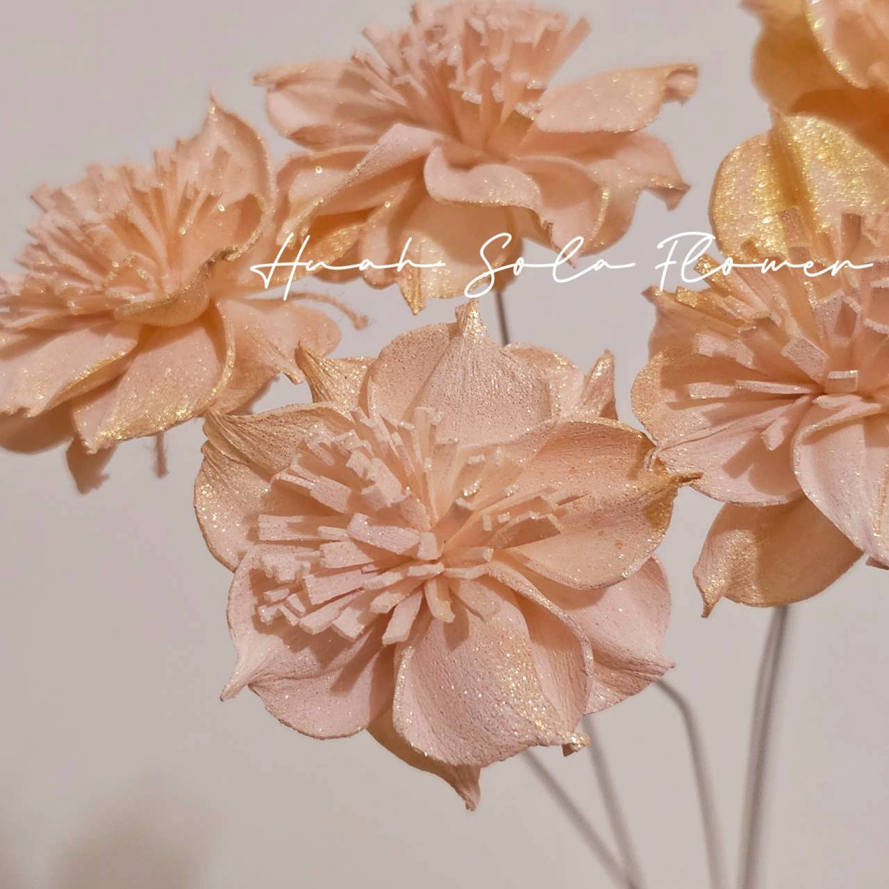 LINE_ALBUM_官網4_251008_110