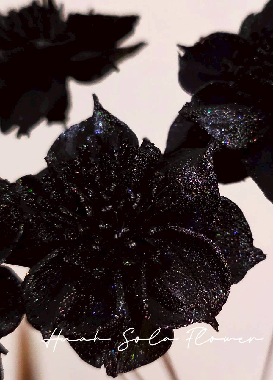 LINE_ALBUM_官網4_251008_112