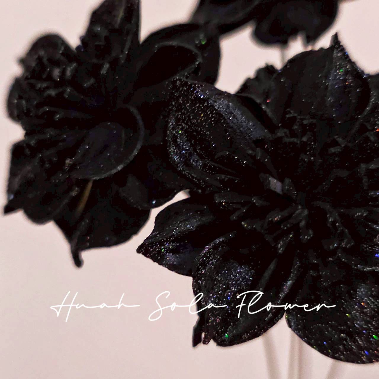 LINE_ALBUM_官網4_251008_111