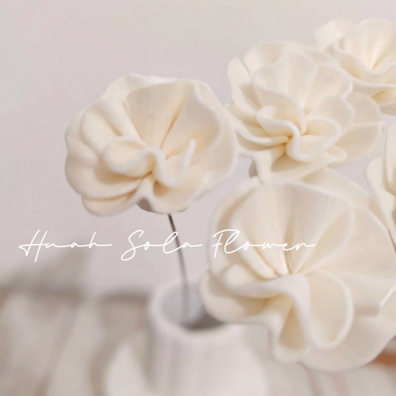 LINE_ALBUM_官網4_251008_116