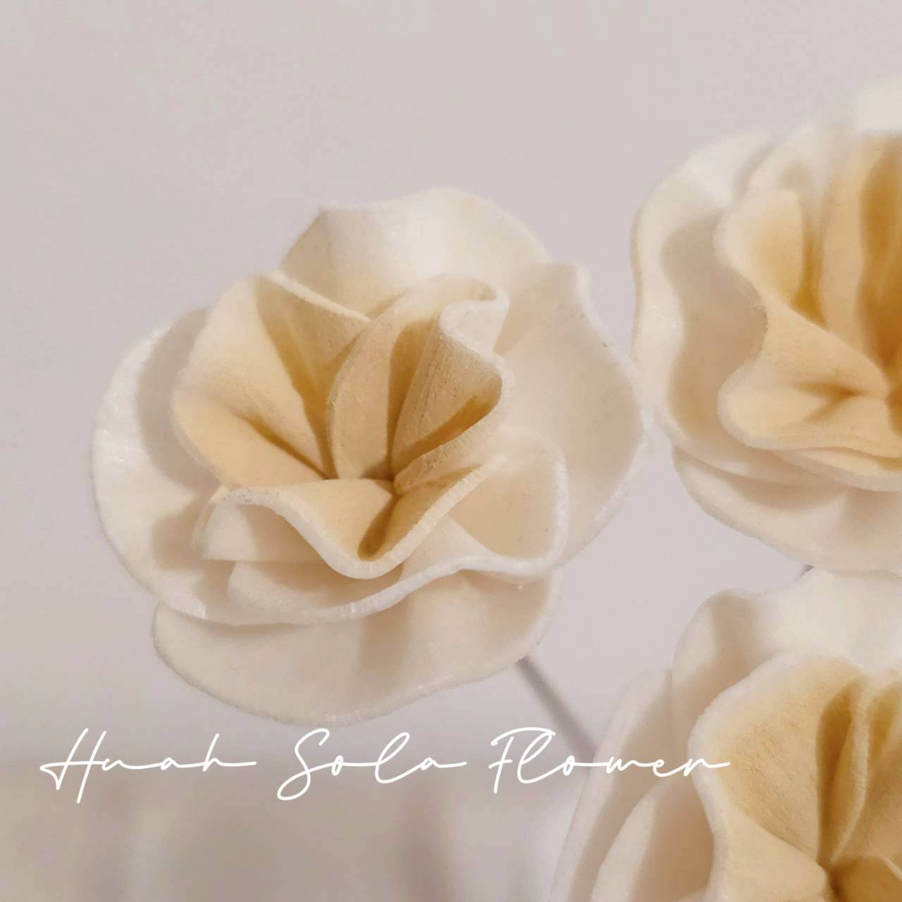 LINE_ALBUM_官網4_251008_24