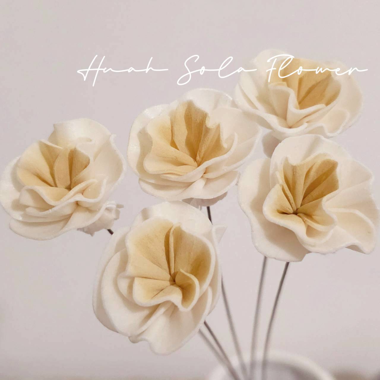 LINE_ALBUM_官網4_251008_25