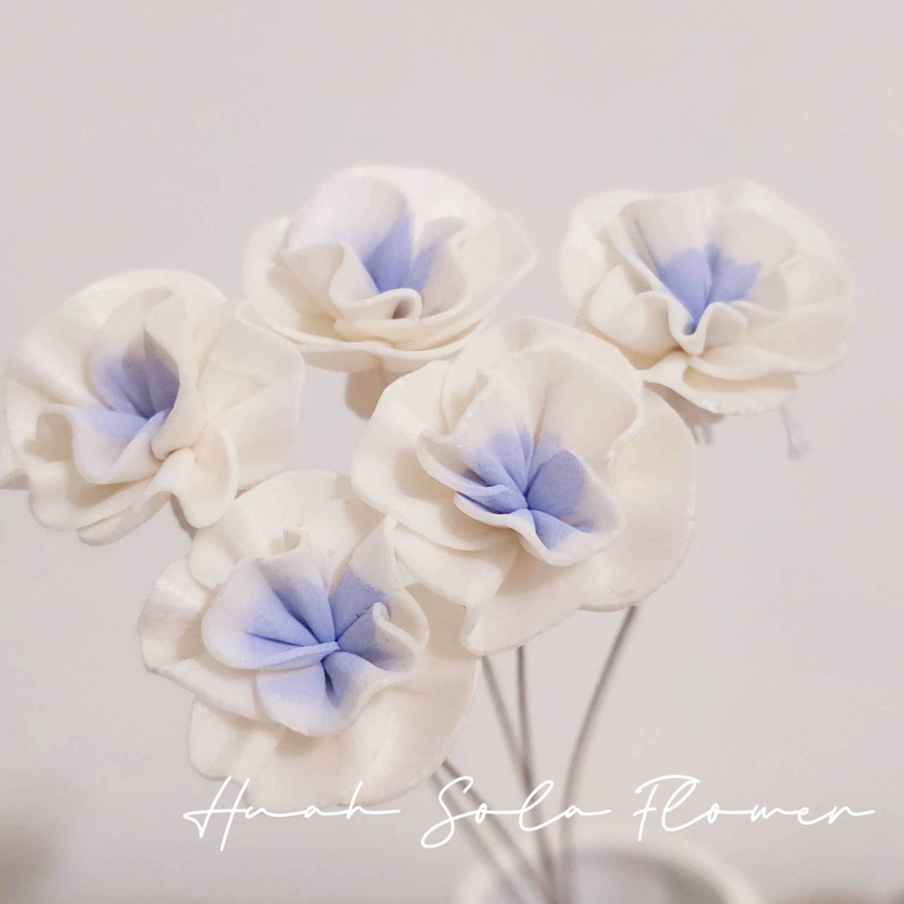 LINE_ALBUM_官網4_251008_27