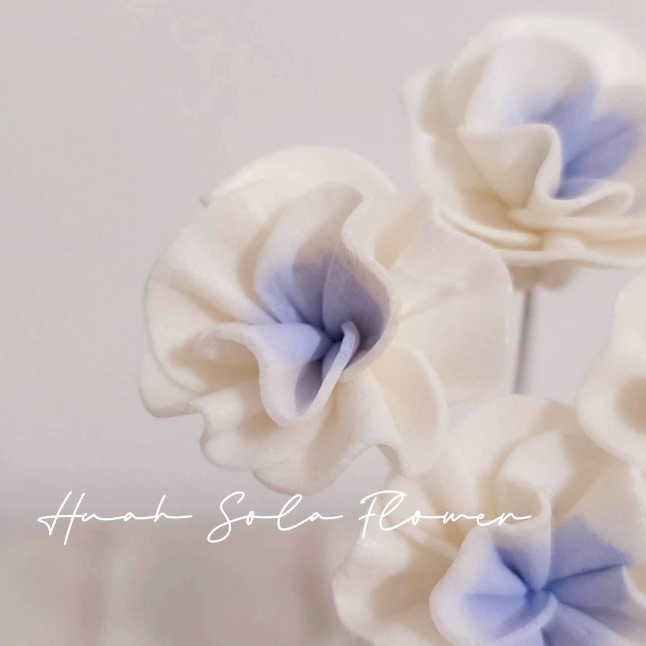 LINE_ALBUM_官網4_251008_26