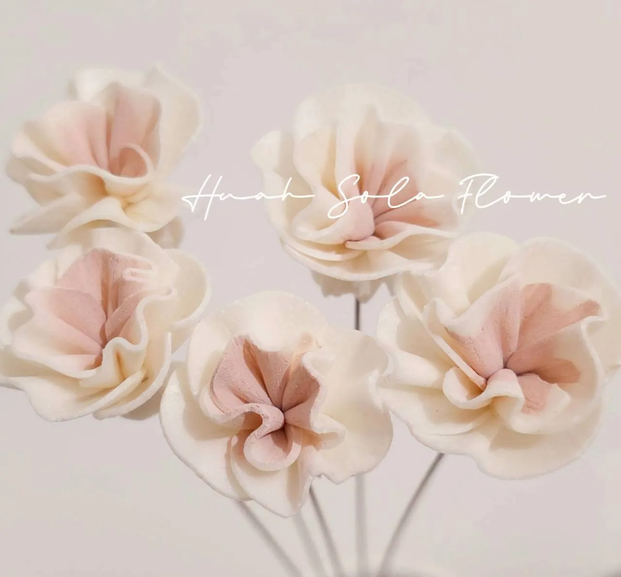 LINE_ALBUM_官網4_251008_29