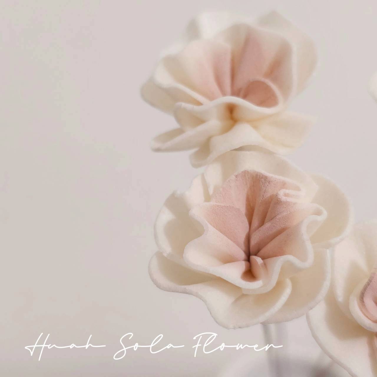 LINE_ALBUM_官網4_251008_28